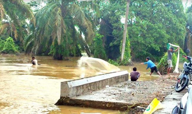 Pasca Banjir Warga Desa Sontang Kabupaten Rokan Hulu Cari Ikan di Jembatan Baung