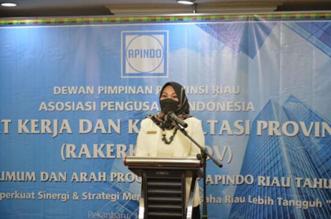Asisten II Setdaprov Riau Buka Rakerkonprov DPP dan DPK APINDO Riau