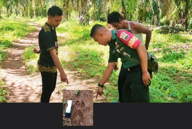 Warga di Kabupaten Rokan Hulu Riau, Temukan Jejak Harimau