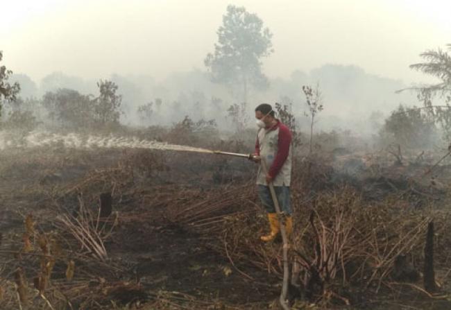 Polda Riau Tetapkan 59 Tersangka Pelaku Karhutla