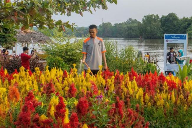 Objek Wisata Taman Bunga Okura Sudah Dibuka dengan Prokes Ketat